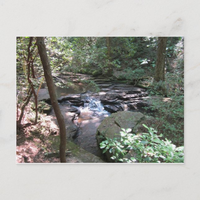 Beersheba Springs Postcard Postkarte (Vorderseite)