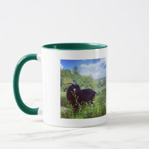 Beethoven-Tasse Tasse