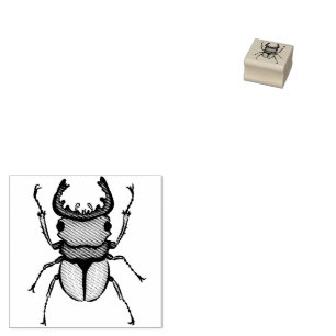 Beetle Art Entomology Insekt Gummistempel