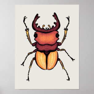 Beetle Art Entomology Insekt Poster