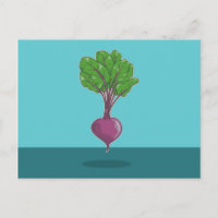 Beetroot beet plant