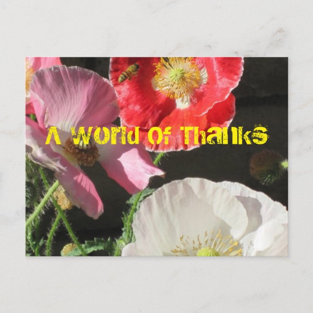 Befinden Sie sich auf der Post Card Postkarte (Vorderseite)