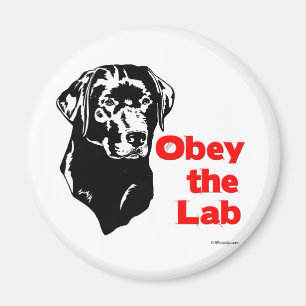 Befolgen Sie den Labrador Magnet