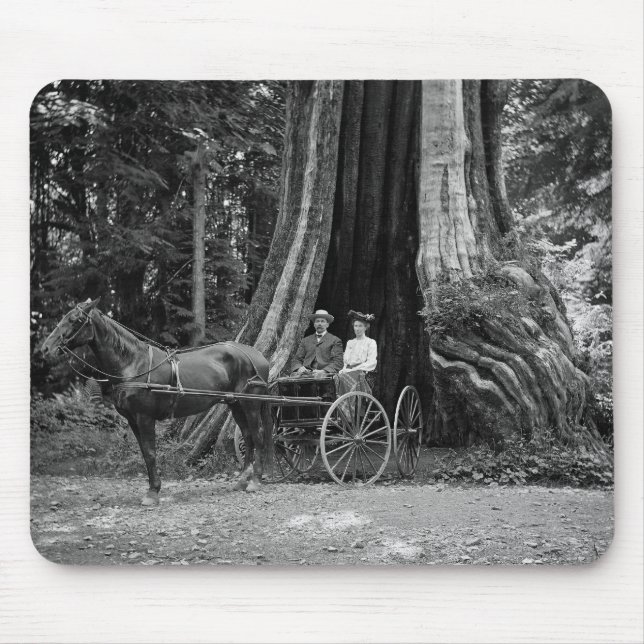 Beförderung im Hollow Tree Mousepad (Vorne)