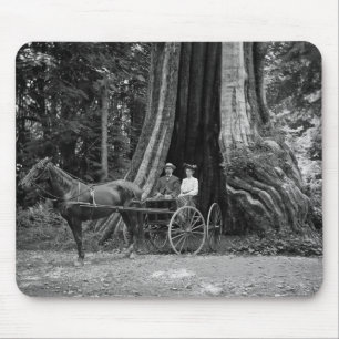 Beförderung im Holmbaum Mousepad