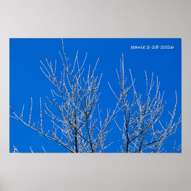 Befrosteter Baum Poster (Vorne)