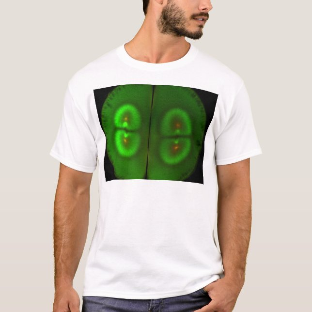 Befruchtetes Froschei T-Shirt (Vorderseite)