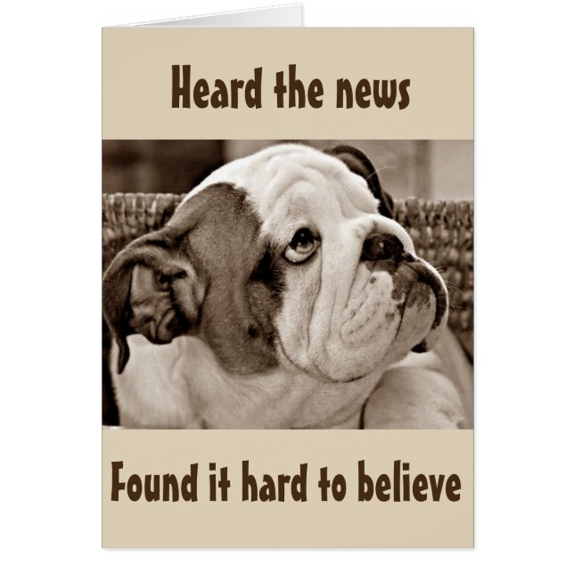 **BEFUGTER BULL DOG** KANN SICH NICHT MEINEN **50* (Vorne)