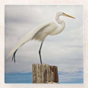 Begabter Strand des Reiher- Fort Myers, Florida Glasuntersetzer