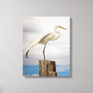 Begabter Strand des Reiher- Fort Myers, Florida Leinwanddruck