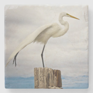 Begabter Strand des Reiher- Fort Myers, Florida Steinuntersetzer