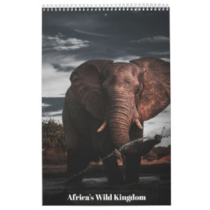 Begegnungen in Afrikas Wildem Königreich, Kalender