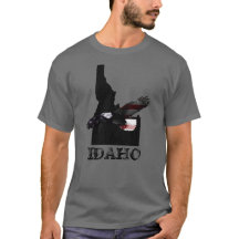 BEGINN PATRIOT EAGLE IDAHO