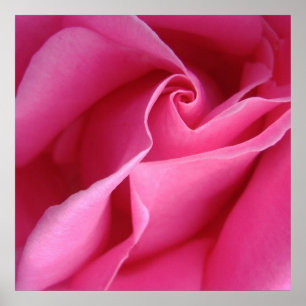 Beginnen mit Diagonale $12,80 des rosa Poster