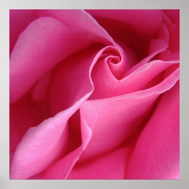 Beginnt mit 12,80 US-Dollar pro Portion rosa Wandd Poster (Vorne)