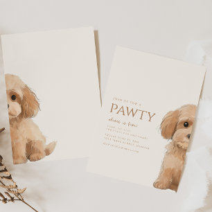Begleiten Sie uns für einen Pawty Poodle Hund zum  Einladung