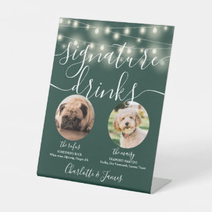 Begleiter Signatur Drinks String Lights Smaragd Sockelschild