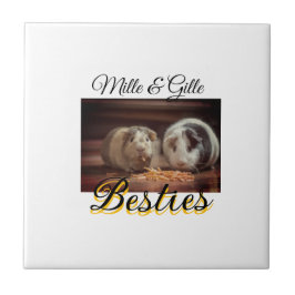 Begleithelfer tragen den Namen Foto Tier Liebe hin Fliese