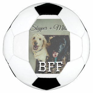 Begleithelfer tragen den Namen Foto Tier Liebe hin Fußball