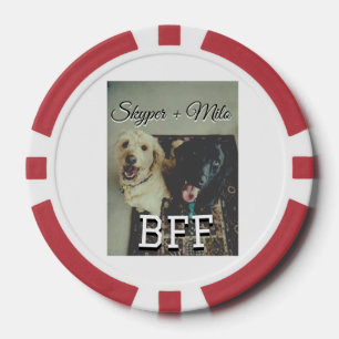 Begleithelfer tragen den Namen Foto Tier Liebe hin Pokerchips