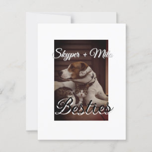 Begleithelfer tragen den Namen Foto Tier Liebe hin Postkarte