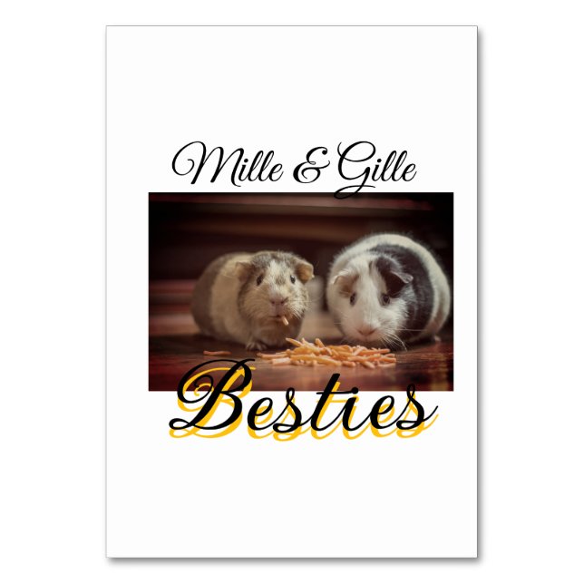 Begleithelfer tragen den Namen Foto Tier Liebe hin Tischnummer (Vorderseite)