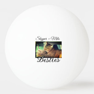 Begleithelfer tragen den Namen Foto Tier Liebe hin Tischtennisball