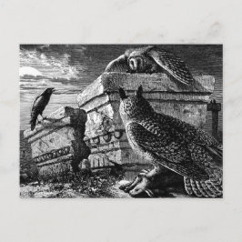 Begleitung zu Eulen Postkarte