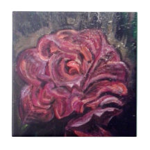 Begonia 1947 Ansel Adams Inspiriert