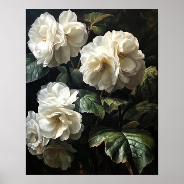 Bégonia Fleurs blanches Poster d'impression (Devant)