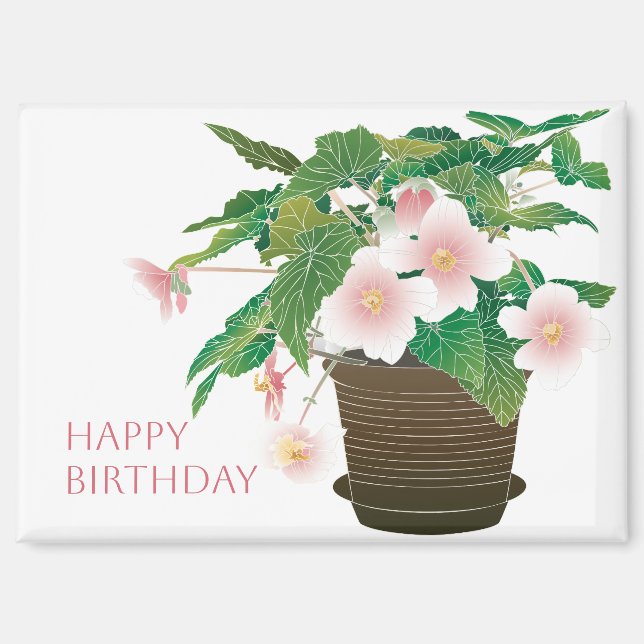 Begonia Geburtstagsmagnet Magnet (Vorderseite)