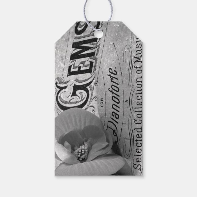 Begonia Gems Pianoforte Geschenkanhänger (Vorderseite)