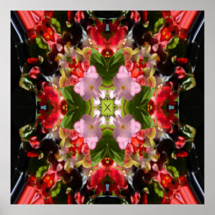 Begonia ist in Liebe.... Poster