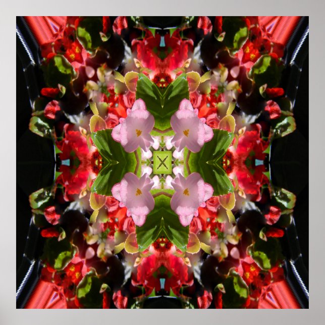 Begonia ist in Liebe.... Poster (Vorne)