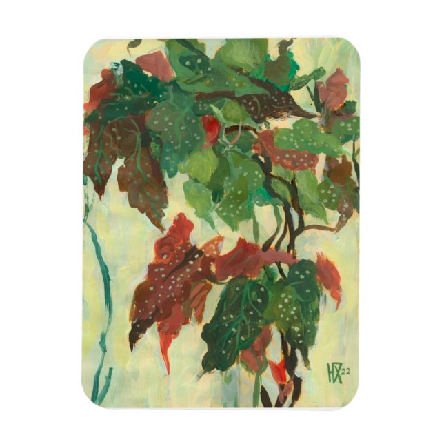 Begonia Maculata Zuhause Garden Pflanze Blumenmale Magnet (Vertikal)