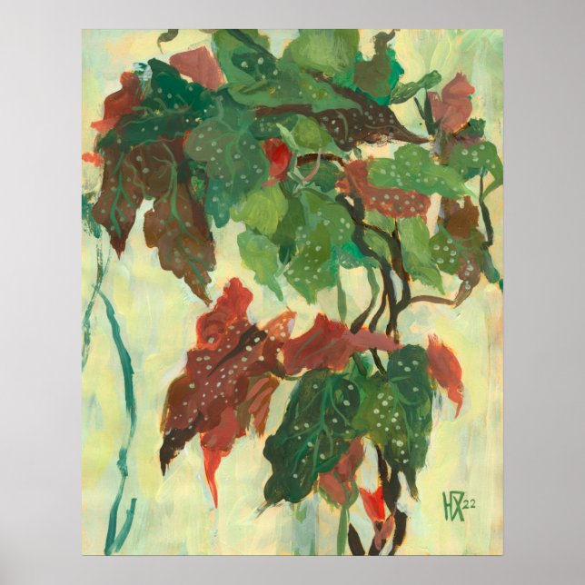 Begonia Maculata Zuhause Garden Pflanze Blumenmale Poster (Vorne)