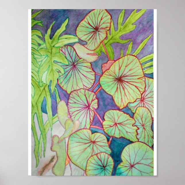 Begonia und Philodendron Poster (Vorne)