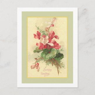 Begonia Vintag Geburtstagsgruß Postkarte
