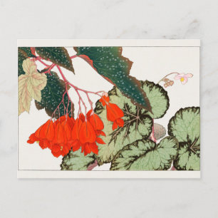 Begonia von Tanigami Konan Postkarte