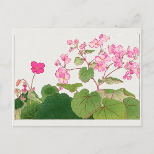 Begonia von Tanigami Konan Postkarte