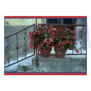 Bégonias dans Ljubjlana