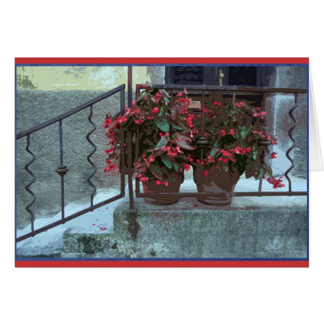 Bégonias dans Ljubjlana (Devant horizontal)