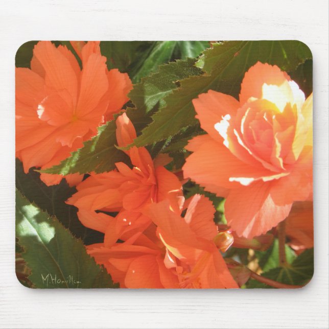 Begonias Foto Mousepad (Vorne)