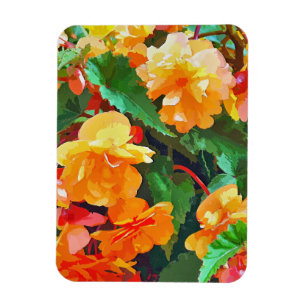 BEGONIAS MAGNET