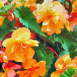 BEGONIAS OVALE GÜRTELSCHNALLE<br><div class="desc">Eine hübsche Aquarellfarbe aus gelben und rosa Begonias.</div>