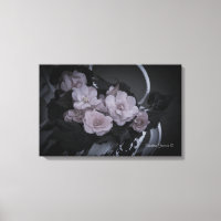 Begonias Sur Le Banc Jardin Galerie De Scène Toile