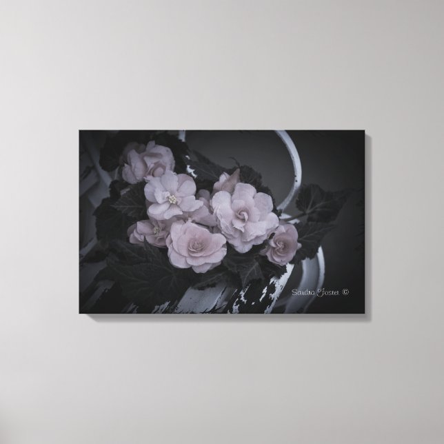 Begonias Sur Le Banc Jardin Galerie De Scène Toile (Recto)