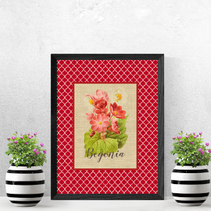 Begonie Botanisch und Vierpass Poster