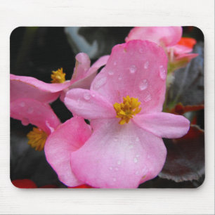 Begonienblüten,海棠 Mousepad