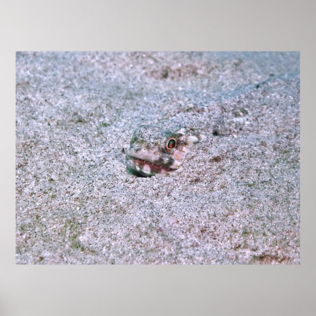 begraben poster (Vorne)